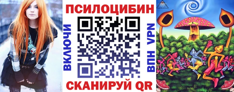 Галлюциногенные грибы Psilocybe  хочу наркоту  Отрадный 