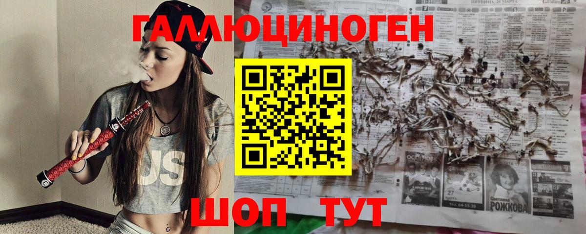 Галлюциногенные грибы Psilocybine cubensis  Вход с VPN  Отрадный  Псилоцибиновые грибы Psilocybe 